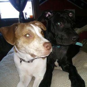 Meet your Posher, Kiana